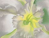 An Orchid 1941